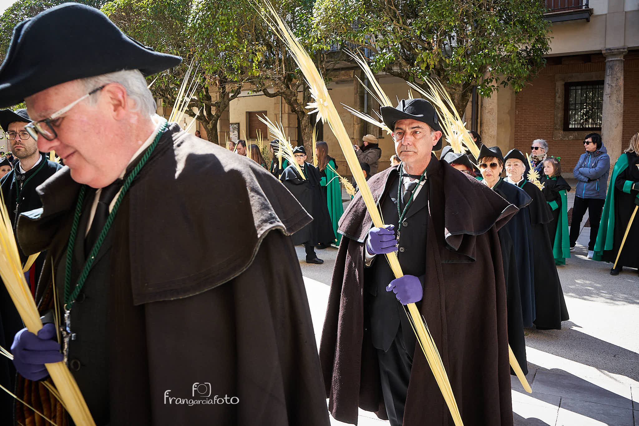 Procesión de la Borriquilla del Domingo de Ramos en Almazán