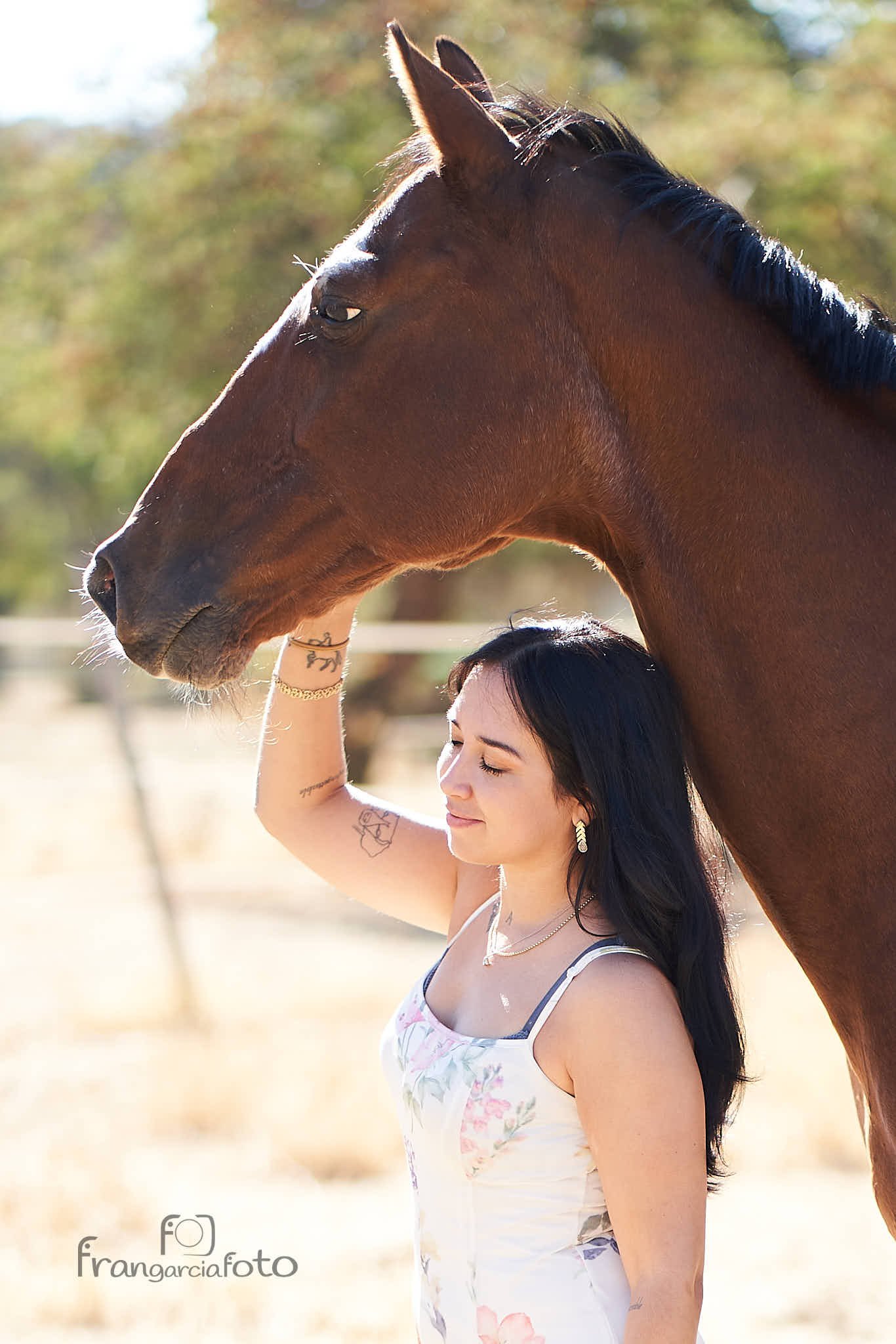 Chica y caballo marrón en un parque natural