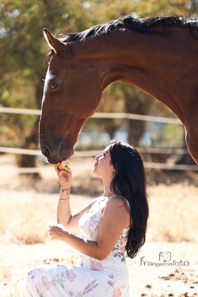 Chica y caballo marrón en un parque natural