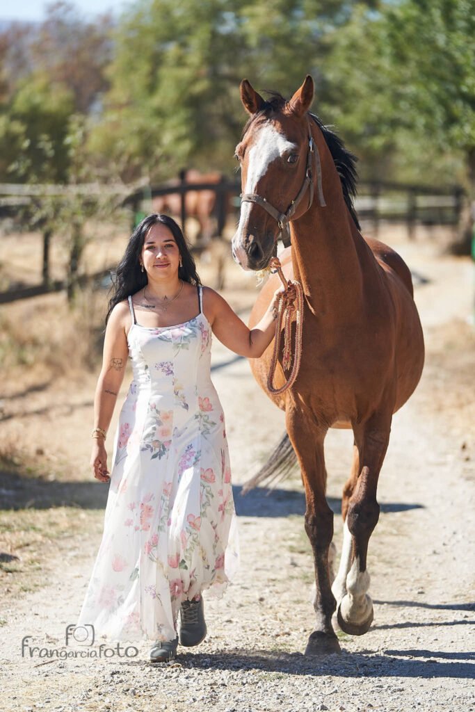 Chica y caballo marrón en un parque natural