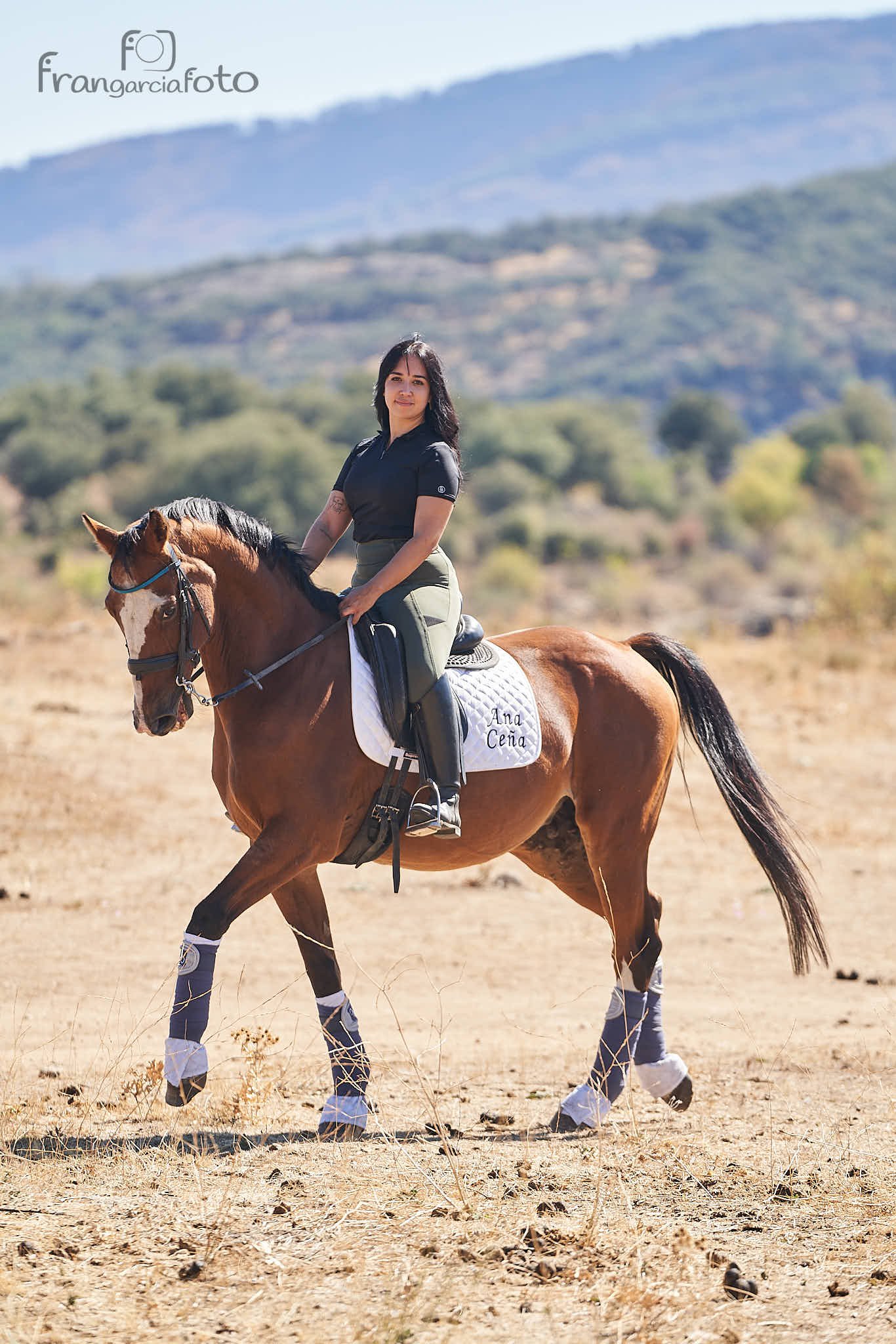 Chica y caballo marrón en un parque natural