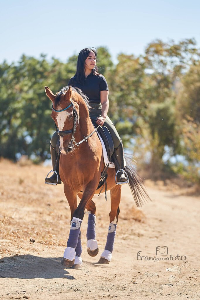 Chica y caballo marrón en un parque natural