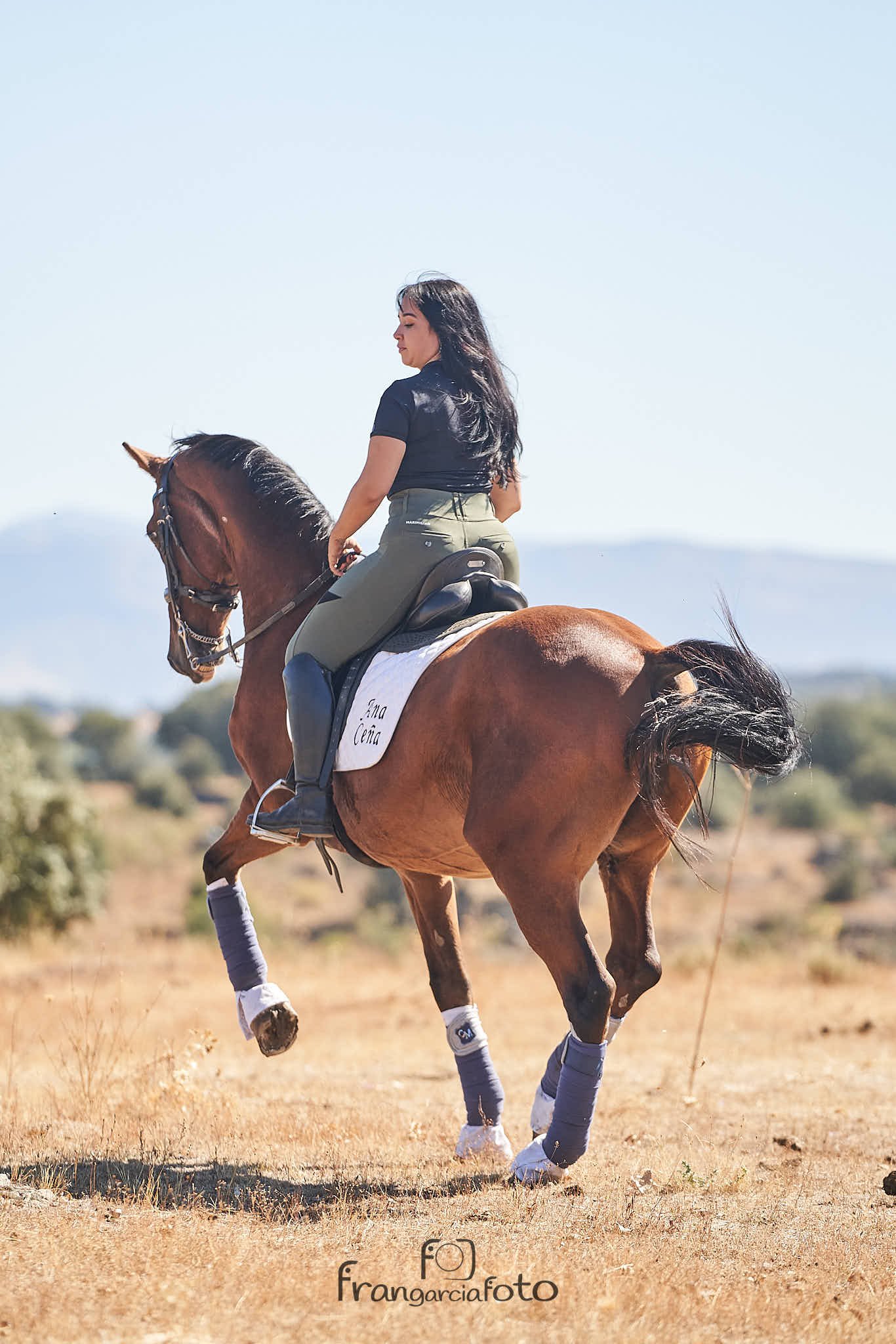 Chica y caballo marrón en un parque natural