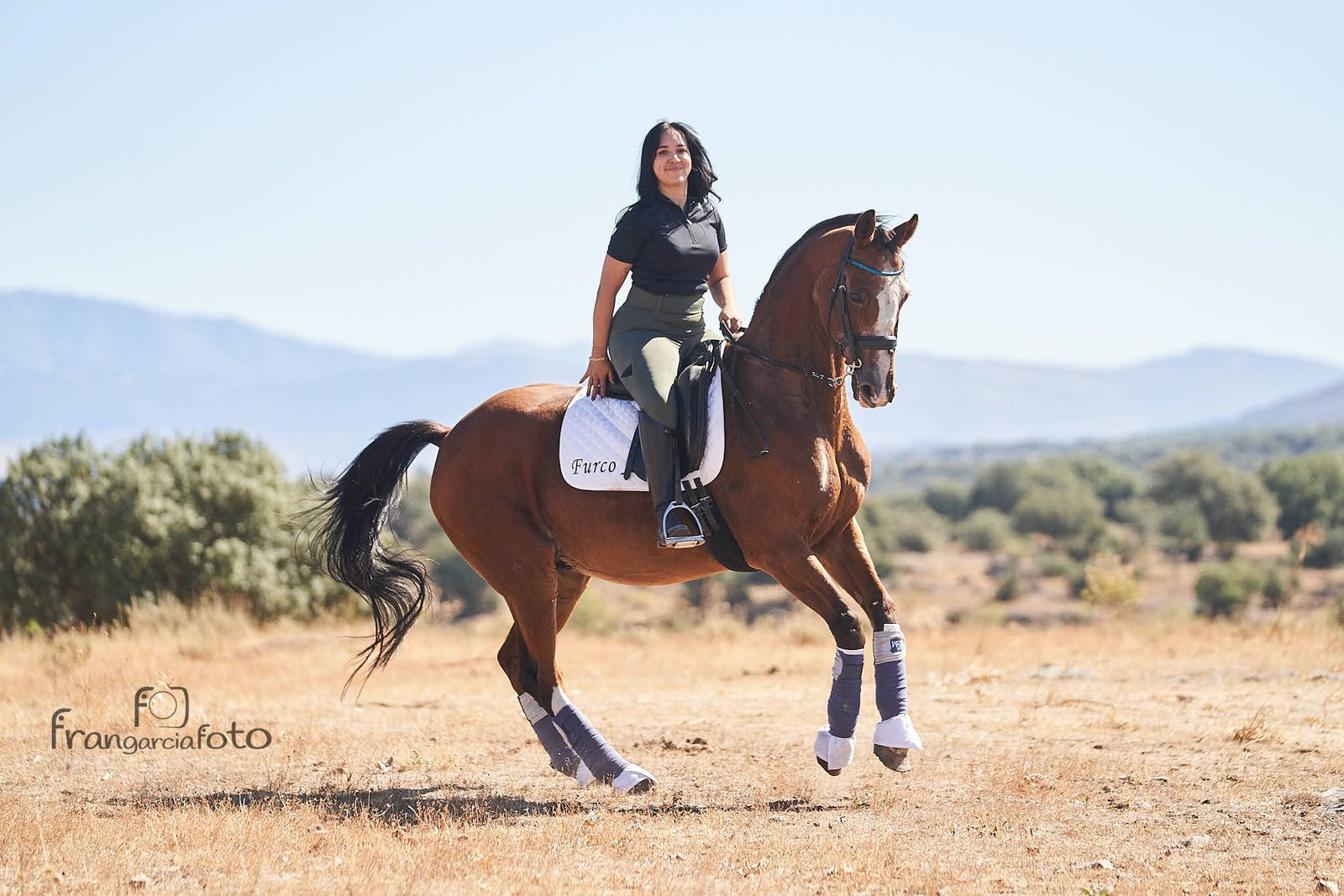 Chica y caballo marrón en un parque natural