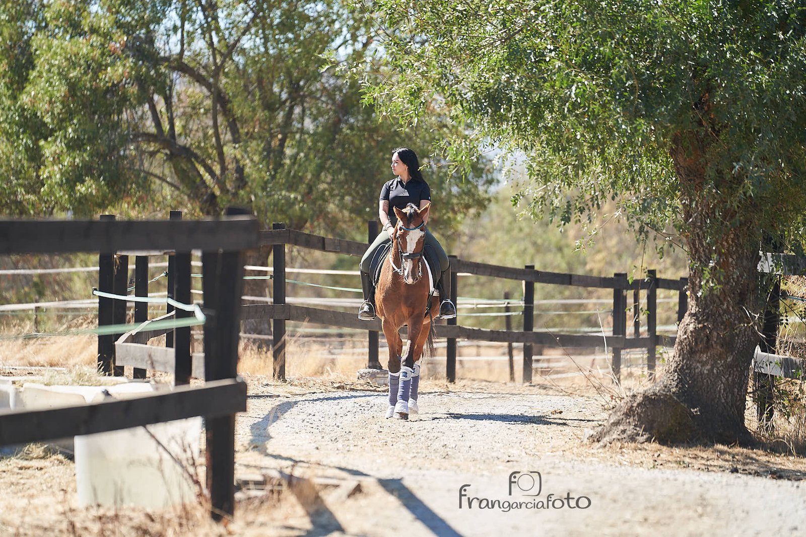 Chica y caballo marrón en un parque natural